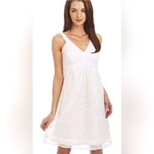 Lilly Pulitzer Amber Silk Blend Organza dress in White Cartwheels Embroidery.